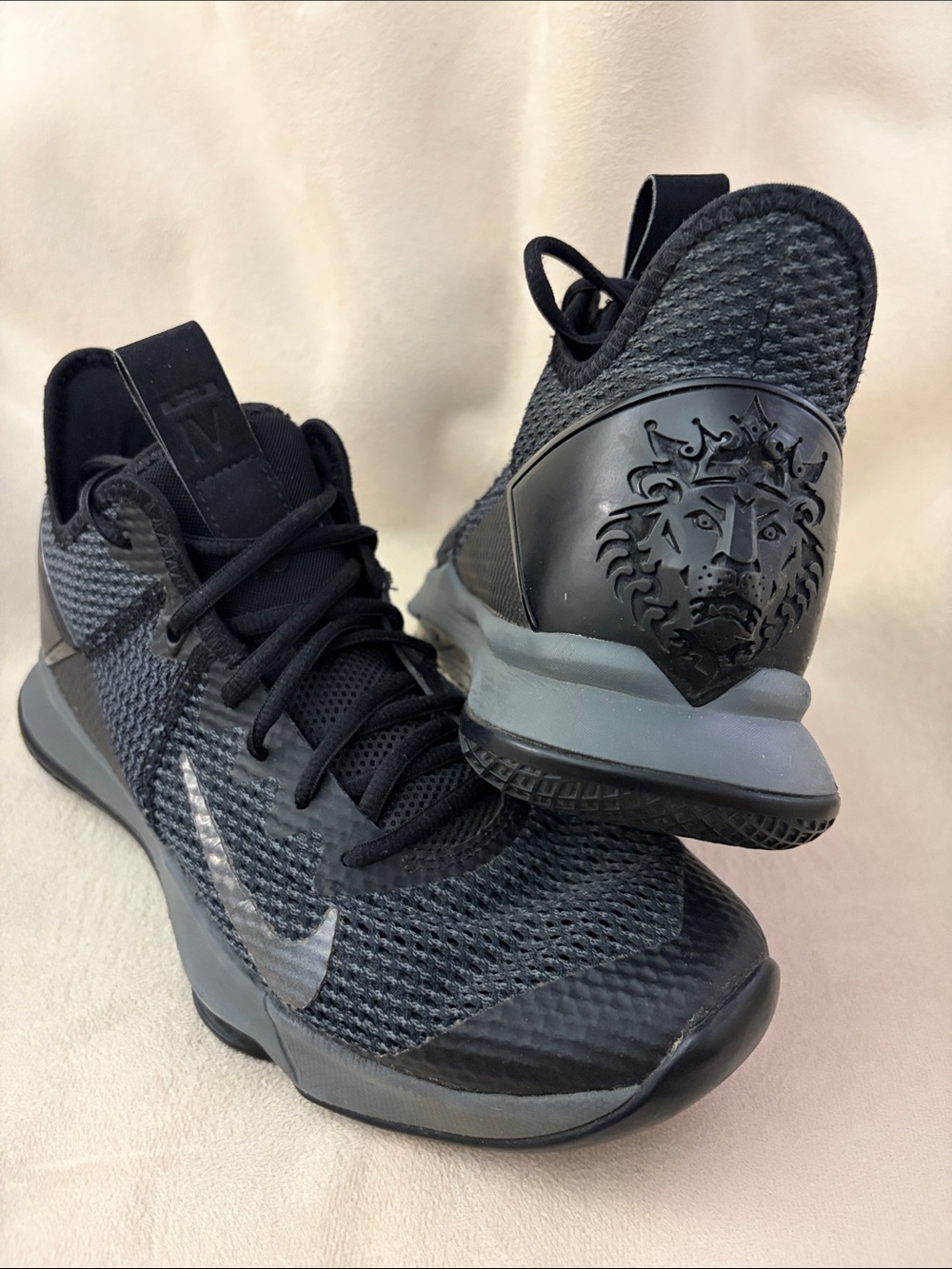 Nike LeBron Shoes